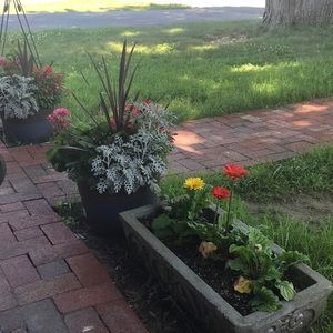 Meet your Posher, Cindy